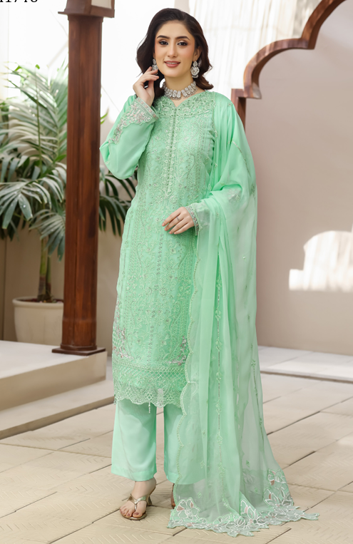RAVISH Pakistani Collection .4