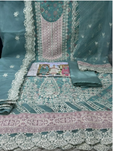Pakistani Inspired Cetalogue Pure Organza Unstitched Collection - Sky 2000