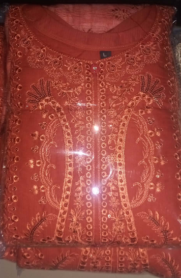 Brick Fashionable Salwar Kamiz